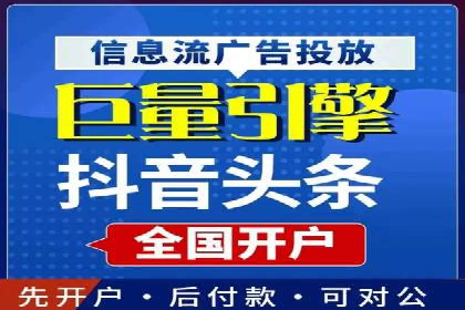 SEO与SEM优化案例：打造行业领先品牌